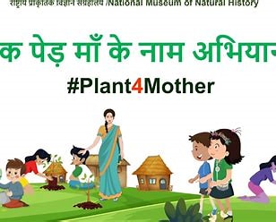 आईच्या नावाने एक झाड